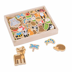 Bigjigs Toys Aimants forestiers en bois