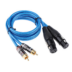 2 XLR femelle à 2 RCA mâle câble audio HIFI pour amplificateur mélangeur 1m