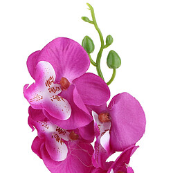 Acheter Arrangement artificiel de Phaleanopsis Décoratif fleur d'orchidée Bonsai Purple