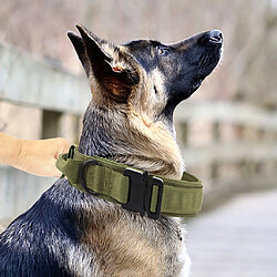 Avis Boucle De Dégagement Rapide De Collier De Chien En Nylon Réglable Pour Le Vert Extérieur De Formation De Chien