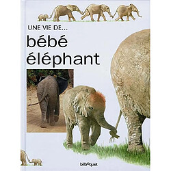 Bébé Eléphant - Occasion