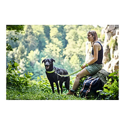 Avis Laisse pour Chien Hunter HILO Rouge (200 cm)