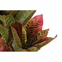 Plante décorative DKD Home Decor Marron Vert PE (50 x 50 x 140 cm)