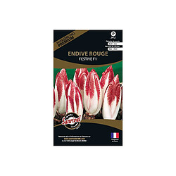 Sanrival Graines potagères premium endive rouge festive