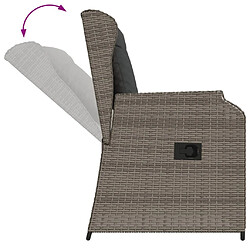 Acheter vidaXL Salon de jardin 3 pcs avec coussins Gris Résine tressée