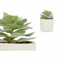 Avis Ibergarden Plante décorative Succulent Plastique 14 x 13,5 x 14 cm (12 Unités)