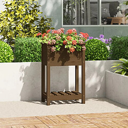 vidaXL Jardinière avec étagère Marron miel 54x34,5x81 cm Bois de pin