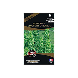 Sanrival Graines de fleurs premium molucelle clochette d'Irlande