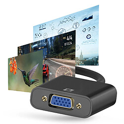 Avizar Adaptateur HDMI Mâle vers VGA Femelle Qualité Image HD 1080p Compact 20cm Noir pas cher