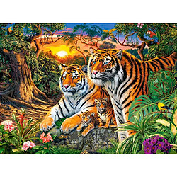 Puzzle 2000 pieces Family of tigers