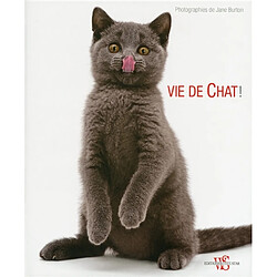 Vie de chat !