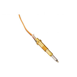 Acheter Siemens THERMOCOUPLE FEU WOK