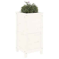 Avis Maison Chic Jardinière,Bac à fleurs - pot de fleur blanc 40x40x78 cm bois massif de pin -GKD33766