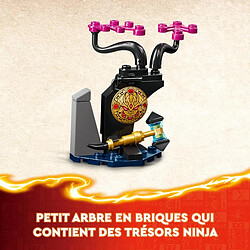 Acheter LEGO NINJAGO LEGO® NINJAGO® 71809 Egalt le Maître Dragon