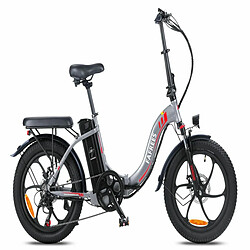 Vélo Électrique FAFREES F20 - 250W Batterie 576WH Autonomie 70KM - Gris