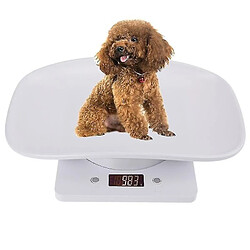 Universal 1g 10kg Pet Dog Cat Scale animale numérique Échelle de poids du nourrisson bébé numérique (kg / oz / lb)