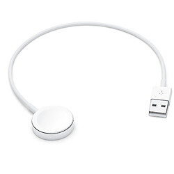 Apple Aw Magnetic Charging Cable 0.3m