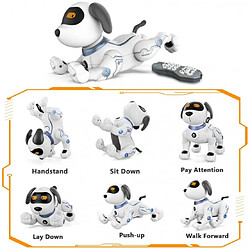 OFS SELECTION Robot Okk, le chien robot interactif