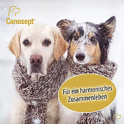 Acheter Canosept Home Comfort Collier apaisant pour Chien avec valériane et Lavande favorise Le Bien-être et la détente chez Les Chiens