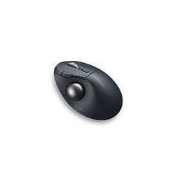 Kensington Pro Fit Ergo TB550 mouse