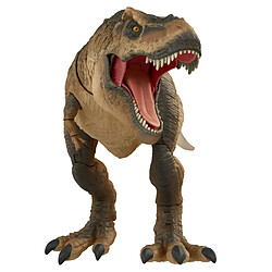 Acheter Mattel Jurassic World Jurassic Park Hammond Collection Tyrannosaurus Rex Figurine de Dinosaure 61 cm de Long avec 14 articulations Mobiles, Collection de Film