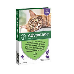 ADVANTAGE 80 - 4 pipettes antiparasitaires - Pour chat et lapin de 4kg et plus