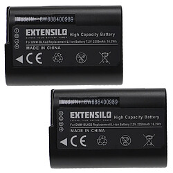 Vhbw EXTENSILO 2x Batteries compatible avec Panasonic Lumix DC-S5, DC-S5K, G9, GH5, GH5S appareil photo, reflex numérique (2250mAh, 7,2V, Li-ion)