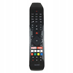 GUPBOO Télécommande Universelle de Rechange Commande TV adaptée pour Hitachi L