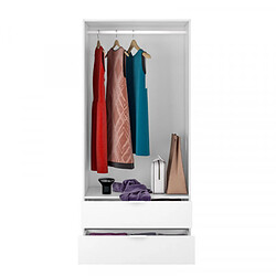 Dansmamaison Armoire 2 portes et 2 tiroirs Blanc - WAO