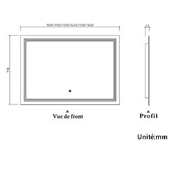 Acheter Miroir de salle de bain avec lumières Led 110x70cm (LxH)