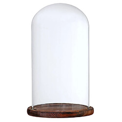 Cloche En Forme De Dôme En Verre Avec Support En Bois Pour Paysage De Fleurs, Brun G