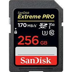 Carte mémoire flash - SANDISK - - 256GB - - (SDSDXXY-256G-GN4IN)