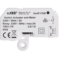 Module On/Off sans fil avec mesure de la consommation - Homematic Ip