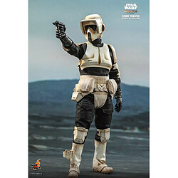 Avis Hot Toys TMS016 - Star Wars - The Mandalorian - Scout Trooper