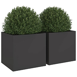 Avis vidaXL Jardinières 2 pcs noir 49x47x46 cm acier