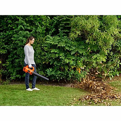 Avis Souffleuse Black & Decker BCBL200L-QW Volets