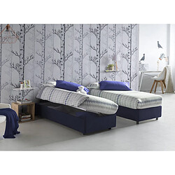 Autrement Talamo Italia Silvia lit queen size avec conteneur, Made in Italy, en tissu amovible, 120x190 cm, avec ouverture latérale, Bleu, avec matelas inclus.