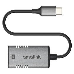 Avizar Adaptateur USB-C vers HDMI femelle Câble Smartphone/Tablette Résolution 4K 15cm