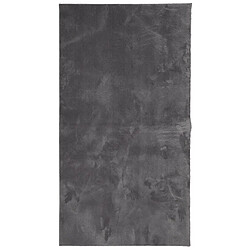 vidaXL Tapis HUARTE à poils courts doux et lavable anthracite 80x150cm