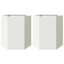 vidaXL Jardinières 2 pcs blanc hexagone 46x40x45 cm acier