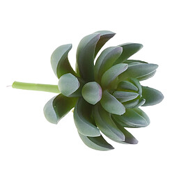 Acheter Plante succulente artificielle cactus maison décor # 13 1 pièce 16 x 9cm