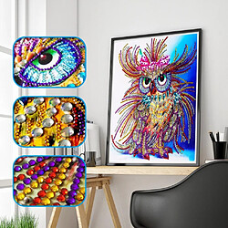 Peinture de diamant bricolage 5D strass spécial photos Art Decor Owl