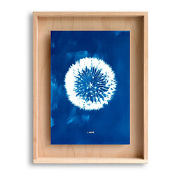 Swabdesign Cadre Carpë cyanotype Pissenlit 40x30cm