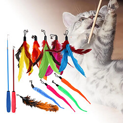 Avis Chaton Teaser Jouets