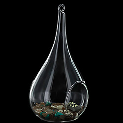 Acheter Vase Suspendu en Verre Transparent Conique