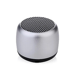 Universal Mini canon portable en haut-parleur Bluetooth en métal