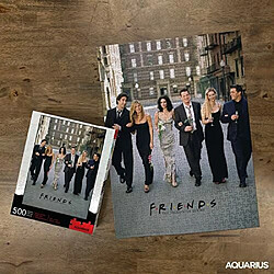 Avis AQUARIUS Friends Wedding Puzzle (Puzzle de 500 piAces) - Marchandises et objets de collection sous licence officielle Friends - Sans Ablouissement - Ajustement prAcis - 14 x 19 pouces