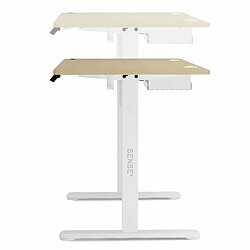 Acheter Sense7 Nojo Table d'ordinateur Gamingtisch Bureau, 120 x 60 cm, réglage électrique de la hauteur, fonction mémoire, porte-casque, organisateur de câbles