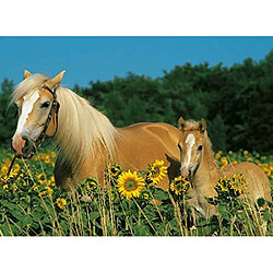 Acheter Ravensburger Horse Happiness Jigsaw Puzzle (200 piAces)