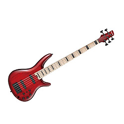 ANB205-TWB Transparent Wine Red Burst + housse Ibanez